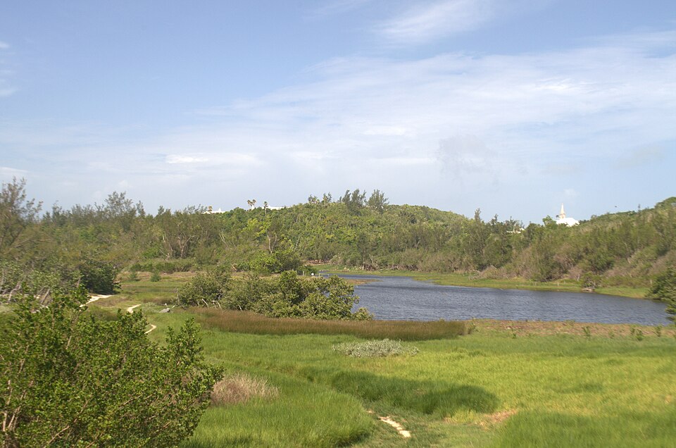 Spittal Pond